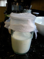 kefir3
